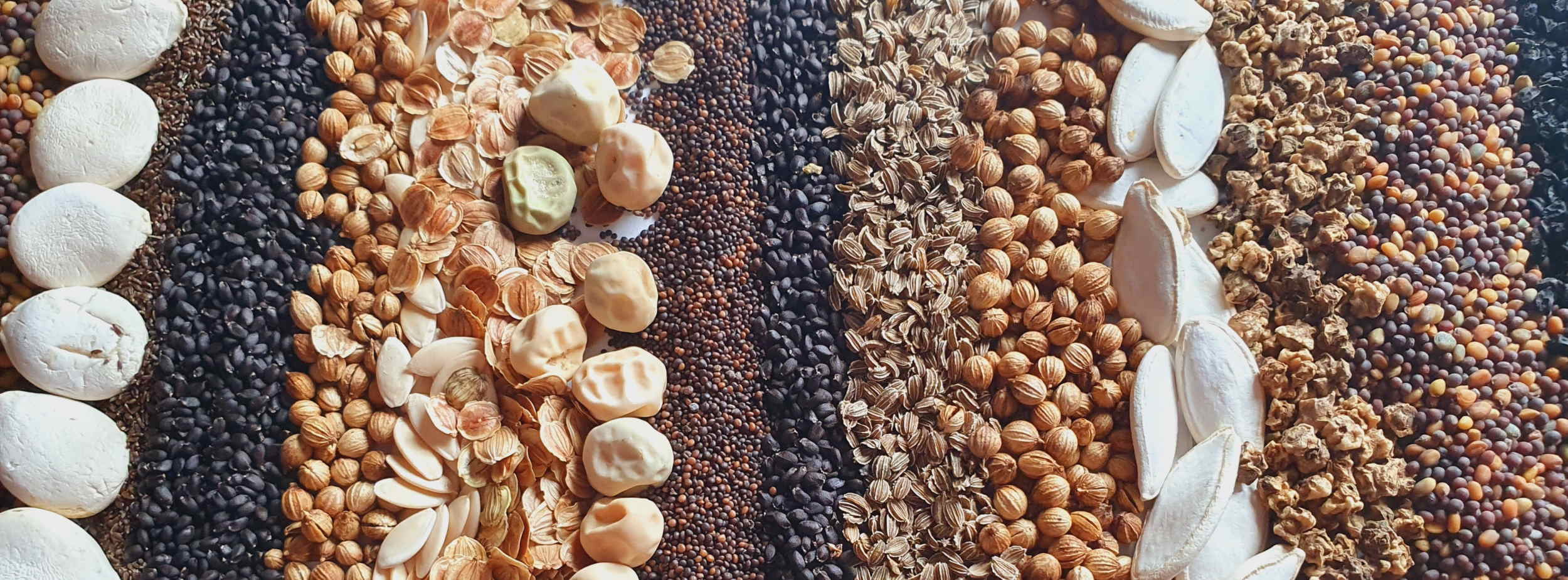 haeder-saatgut-hagedorn.5ffb2d418733b