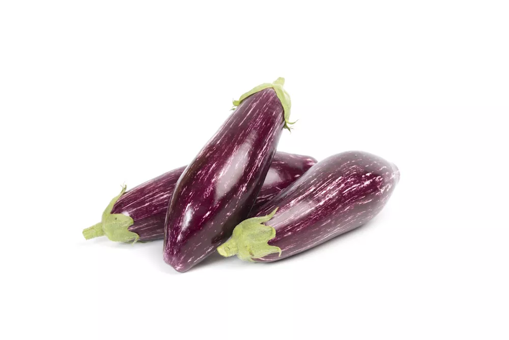 Fruchtgemüsesaat von Nordseeds Fruchtgemüsesaat von Nordseeds