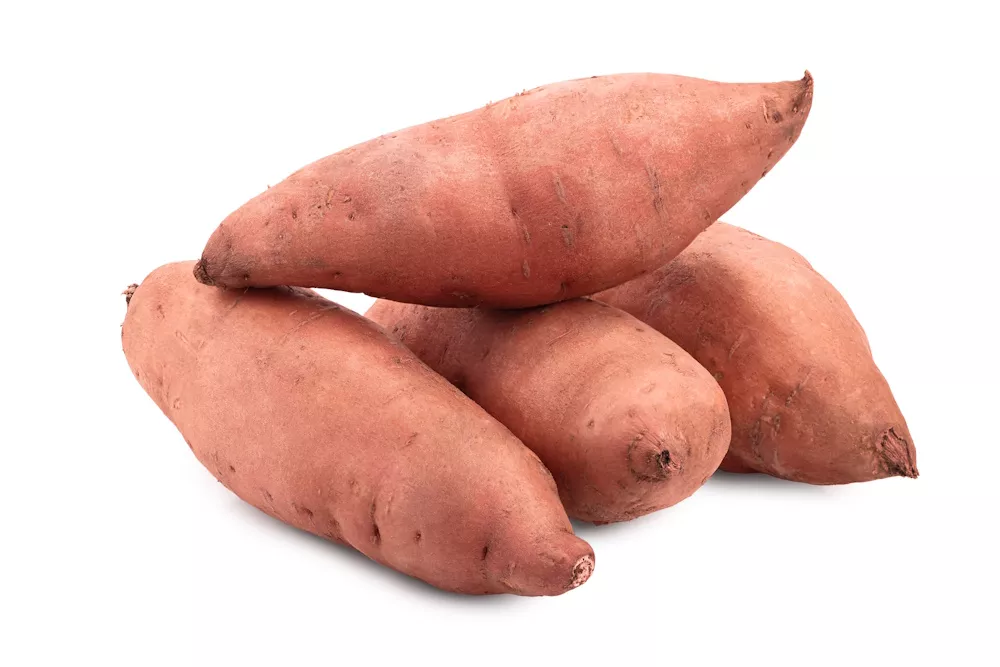 Sondersaat von Nordseeds Sondersaat von Nordseeds